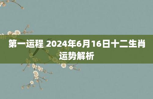 第一运程 2024年6月16日十二生肖运势解析