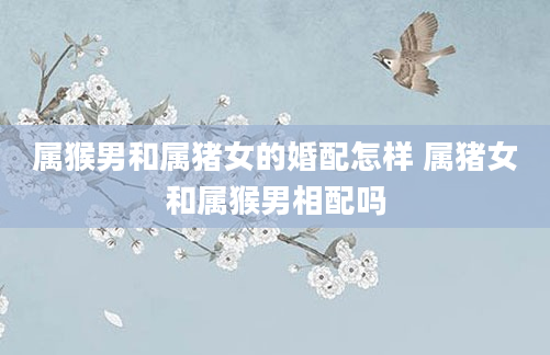 属猴男和属猪女的婚配怎样 属猪女和属猴男相配吗