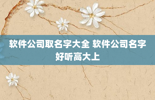 软件公司取名字大全 软件公司名字好听高大上