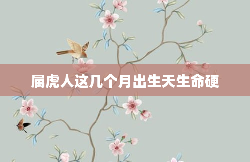 属虎人这几个月出生天生命硬