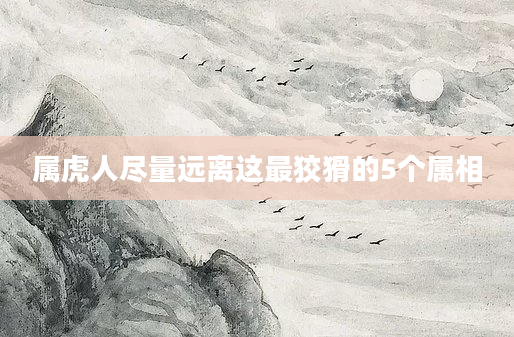 属虎人尽量远离这最狡猾的5个属相