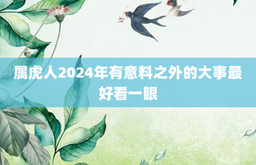 属虎人2024年有意料之外的大事最好看一眼