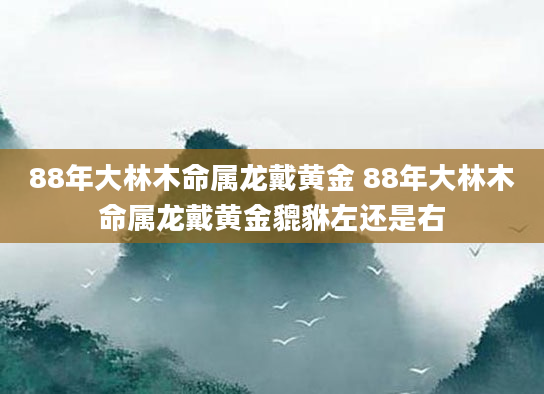 88年大林木命属龙戴黄金 88年大林木命属龙戴黄金貔貅左还是右