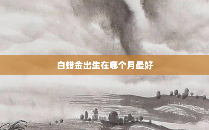 白蜡金出生在哪个月最好