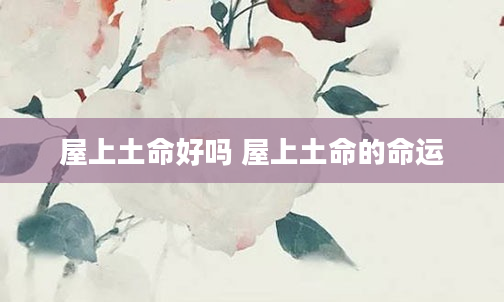 屋上土命好吗 屋上土命的命运