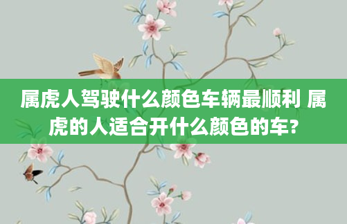 属虎人驾驶什么颜色车辆最顺利 属虎的人适合开什么颜色的车?