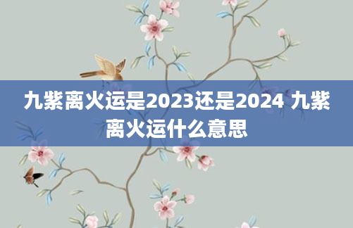 九紫离火运是2023还是2024 九紫离火运什么意思