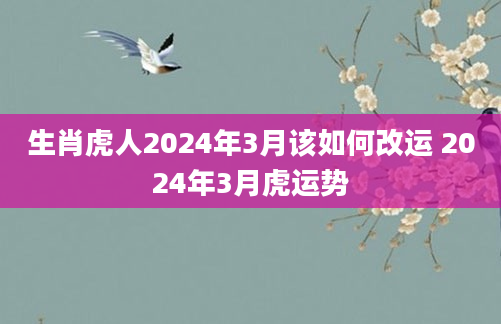 生肖虎人2024年3月该如何改运 2024年3月虎运势