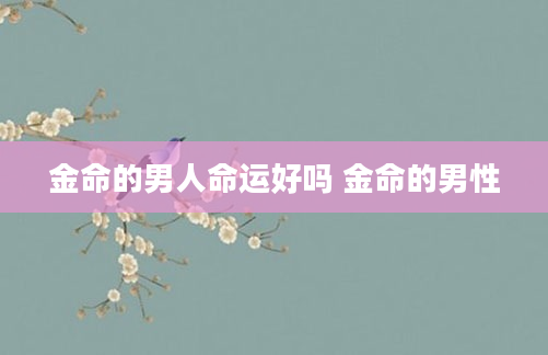 金命的男人命运好吗 金命的男性