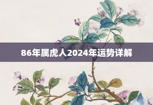 86年属虎人2024年运势详解