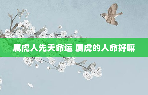 属虎人先天命运 属虎的人命好嘛