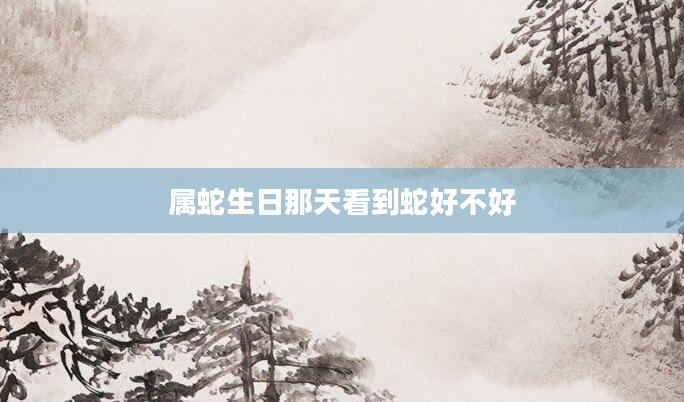 属蛇生日那天看到蛇好不好