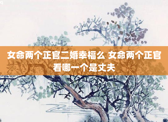 女命两个正官二婚幸福么 女命两个正官看哪一个是丈夫