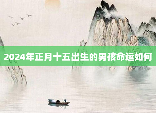 2024年正月十五出生的男孩命运如何