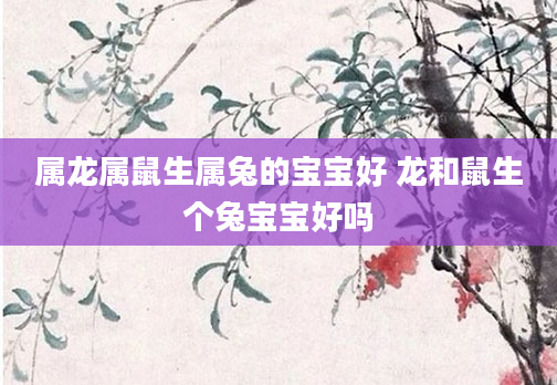 属龙属鼠生属兔的宝宝好 龙和鼠生个兔宝宝好吗