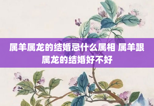 属羊属龙的结婚忌什么属相 属羊跟属龙的结婚好不好