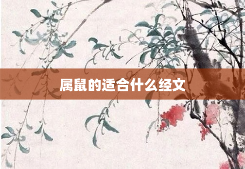 属鼠的适合什么经文