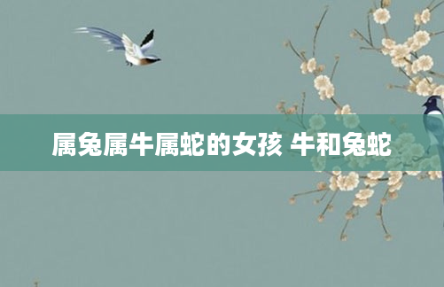 属兔属牛属蛇的女孩 牛和兔蛇