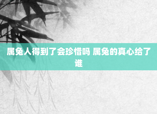 属兔人得到了会珍惜吗 属兔的真心给了谁