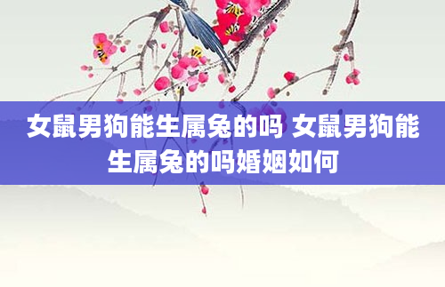 女鼠男狗能生属兔的吗 女鼠男狗能生属兔的吗婚姻如何