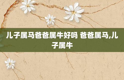 儿子属马爸爸属牛好吗 爸爸属马,儿子属牛