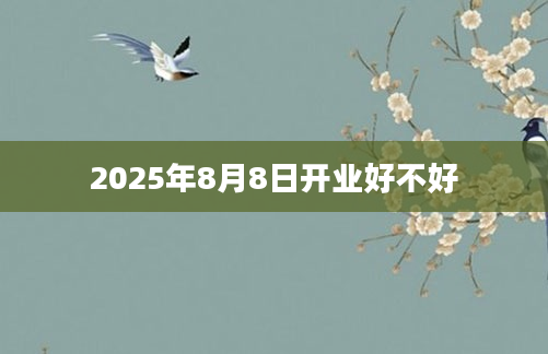 2025年8月8日开业好不好