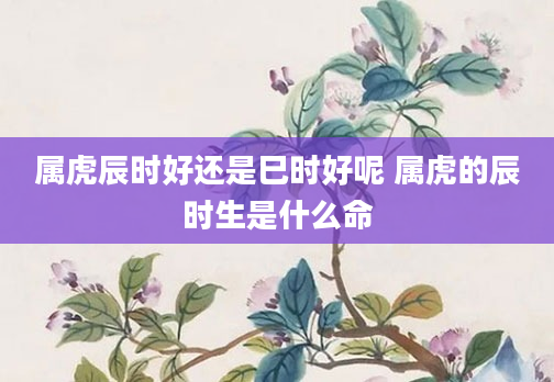 属虎辰时好还是巳时好呢 属虎的辰时生是什么命