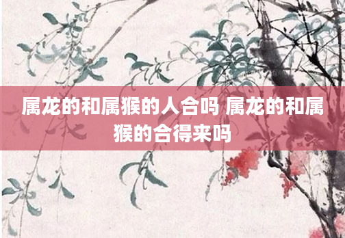 属龙的和属猴的人合吗 属龙的和属猴的合得来吗