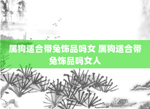 属狗适合带兔饰品吗女 属狗适合带兔饰品吗女人