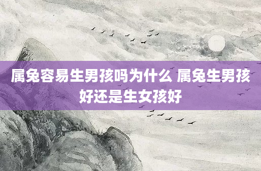 属兔容易生男孩吗为什么 属兔生男孩好还是生女孩好