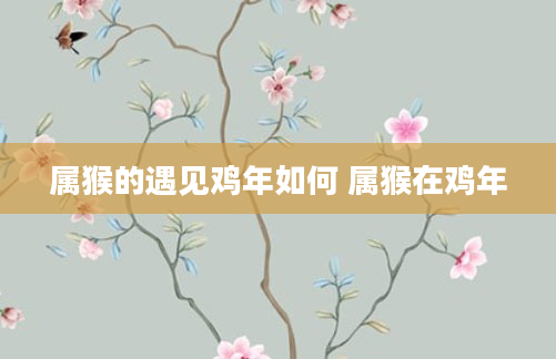 属猴的遇见鸡年如何 属猴在鸡年