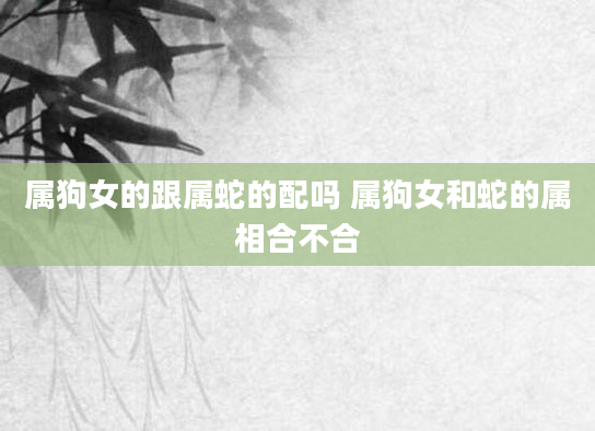 属狗女的跟属蛇的配吗 属狗女和蛇的属相合不合