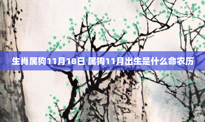 生肖属狗11月18日 属狗11月出生是什么命农历