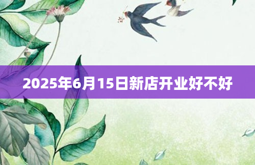 2025年6月15日新店开业好不好