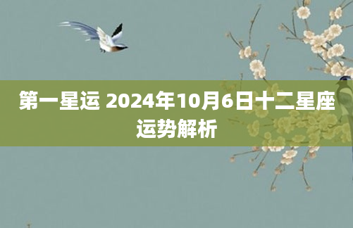 第一星运 2024年10月6日十二星座运势解析