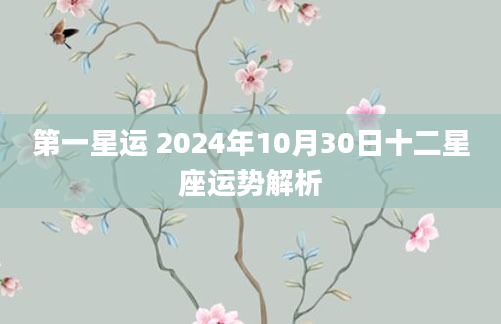 第一星运 2024年10月30日十二星座运势解析
