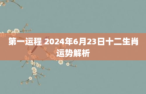 第一运程 2024年6月23日十二生肖运势解析