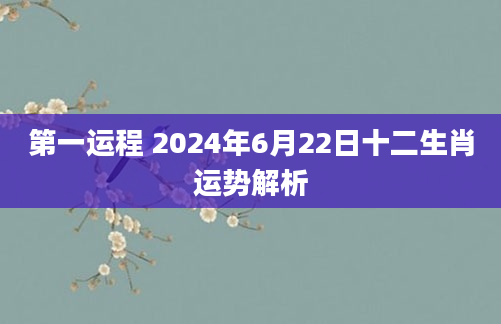 第一运程 2024年6月22日十二生肖运势解析