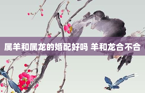属羊和属龙的婚配好吗 羊和龙合不合