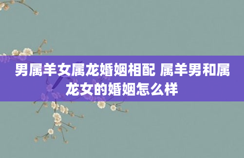 男属羊女属龙婚姻相配 属羊男和属龙女的婚姻怎么样
