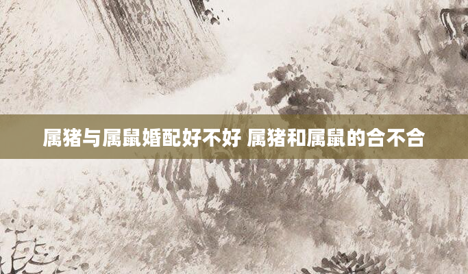 属猪与属鼠婚配好不好 属猪和属鼠的合不合
