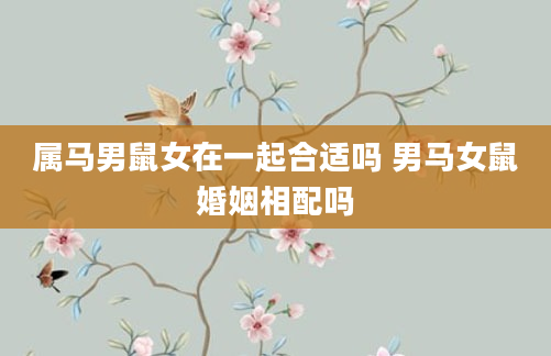 属马男鼠女在一起合适吗 男马女鼠婚姻相配吗