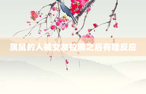 属鼠的人被女友拉黑之后有啥反应