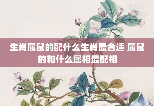 生肖属鼠的配什么生肖最合适 属鼠的和什么属相最配相