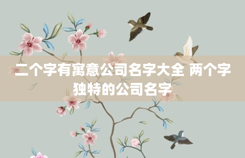 二个字有寓意公司名字大全 两个字独特的公司名字