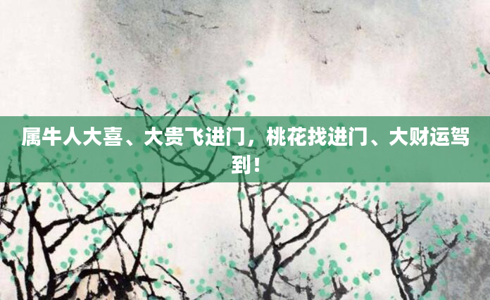属牛人大喜、大贵飞进门，桃花找进门、大财运驾到！