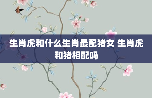 生肖虎和什么生肖最配猪女 生肖虎和猪相配吗