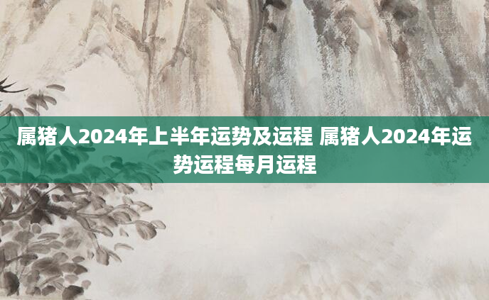属猪人2024年上半年运势及运程 属猪人2024年运势运程每月运程