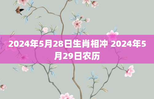 2024年5月28日生肖相冲 2024年5月29日农历