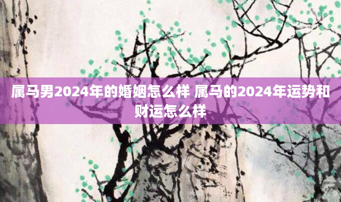 属马男2024年的婚姻怎么样 属马的2024年运势和财运怎么样